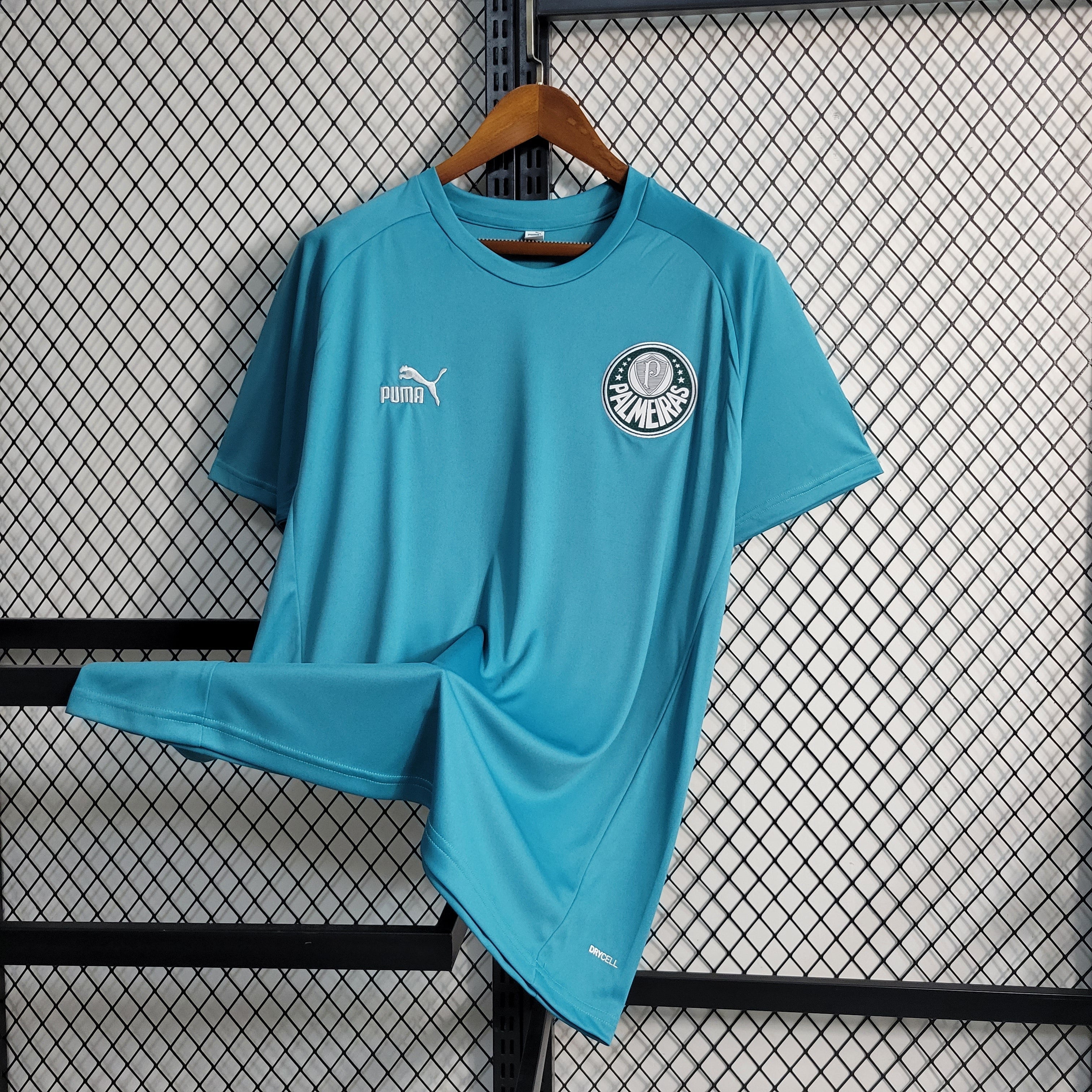 Camisa Palmeiras Treino 23/24 - Puma Hombre | Versión Aficionado - Verde
