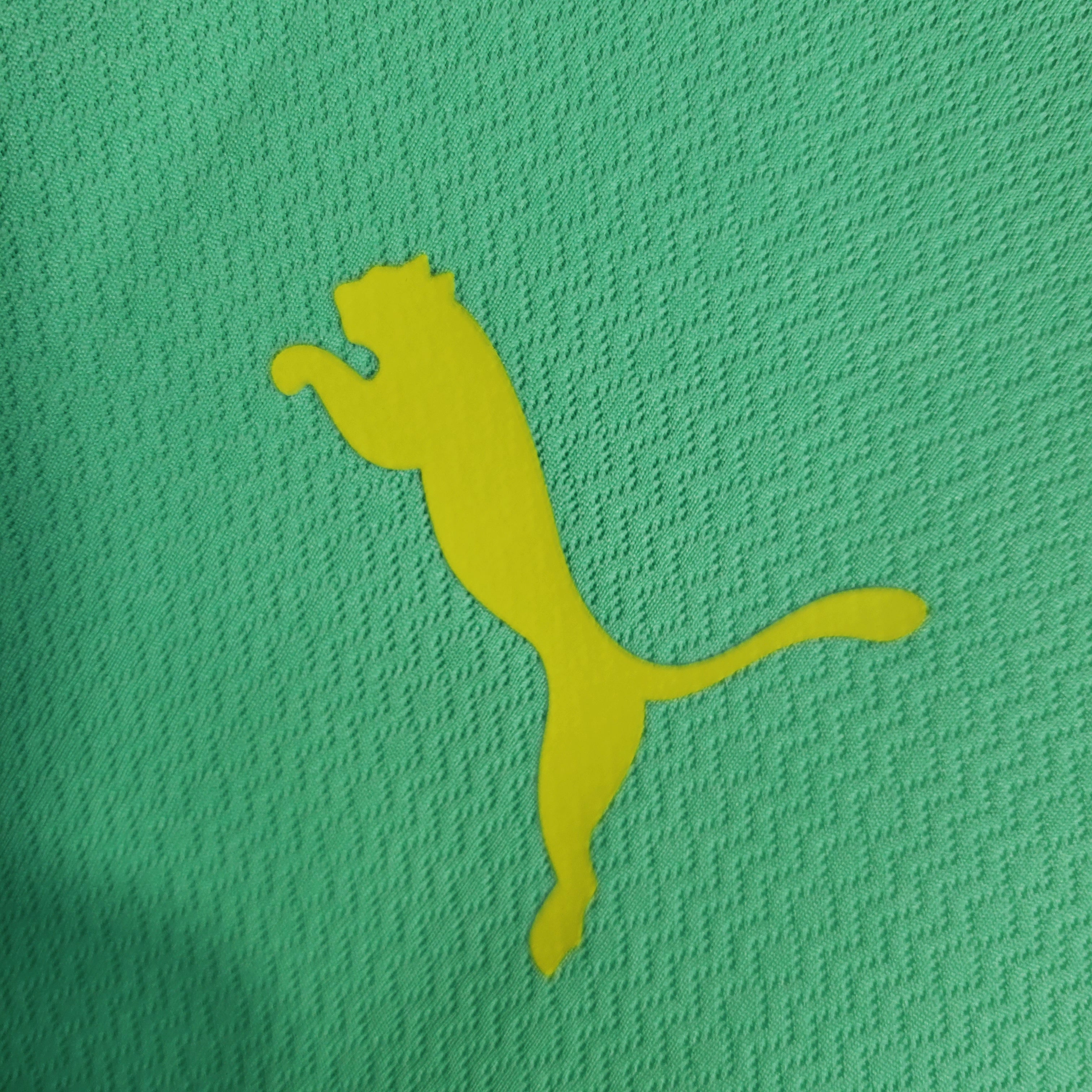 Camisa Palmeiras 23/24 - Puma Hombre | Versión Aficionado