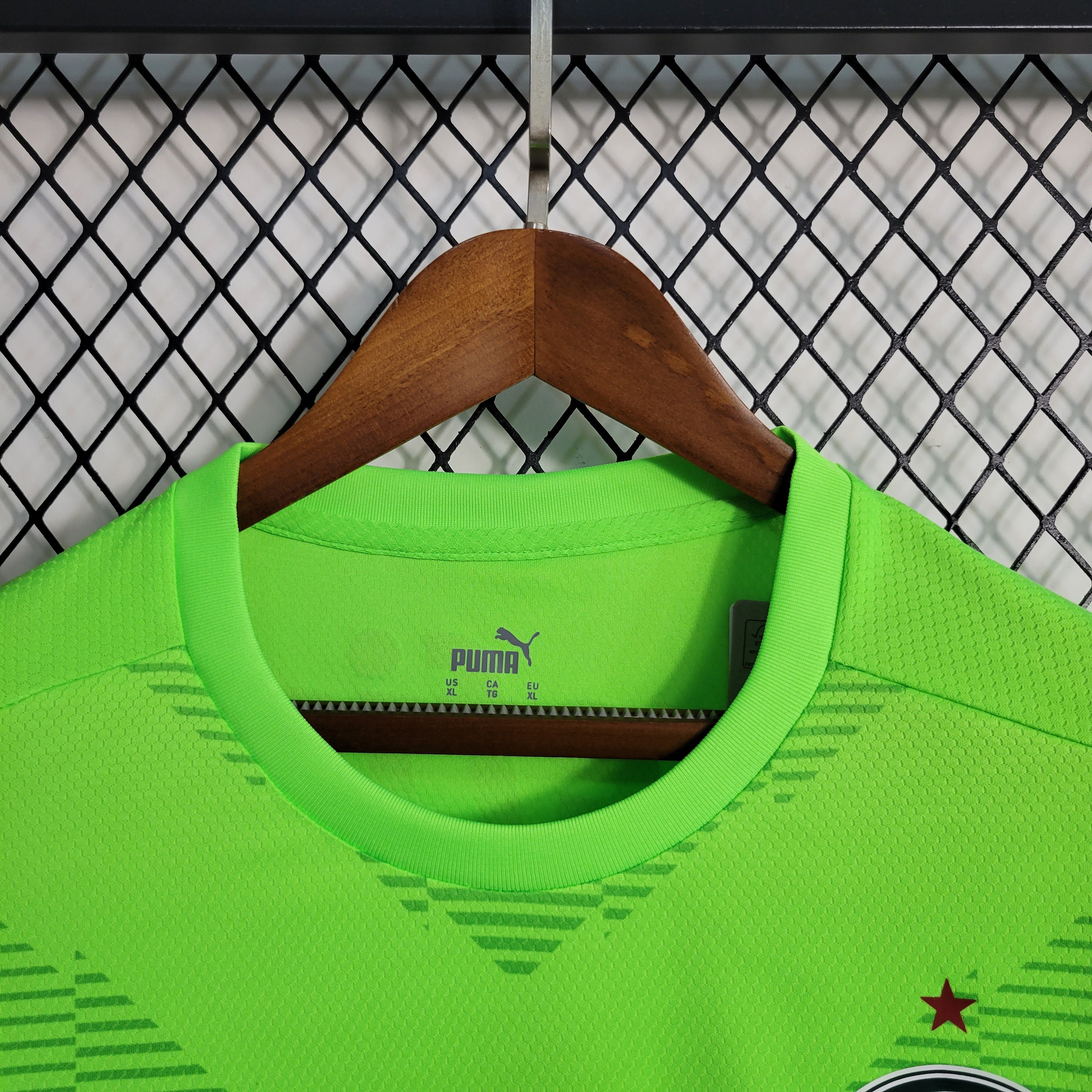Camisa Palmeiras Goleiro 23/24 - Puma Hombre | Versión Aficionado