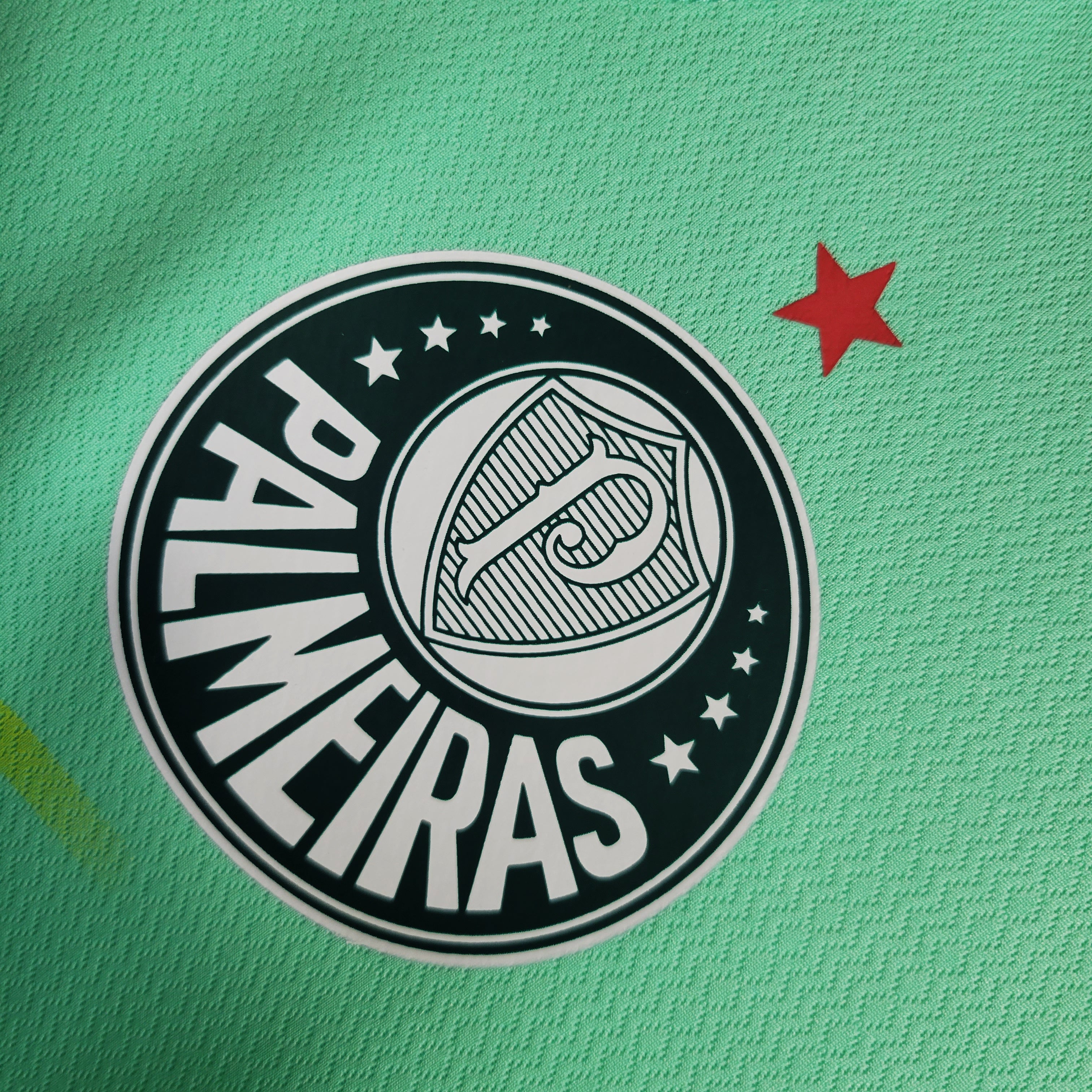 Camisa Palmeiras 23/24 - Puma Hombre | Versión Aficionado