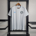 Camisa Palmeiras Treino 23/24 - Puma Hombre | Versión Aficionado - Cinza