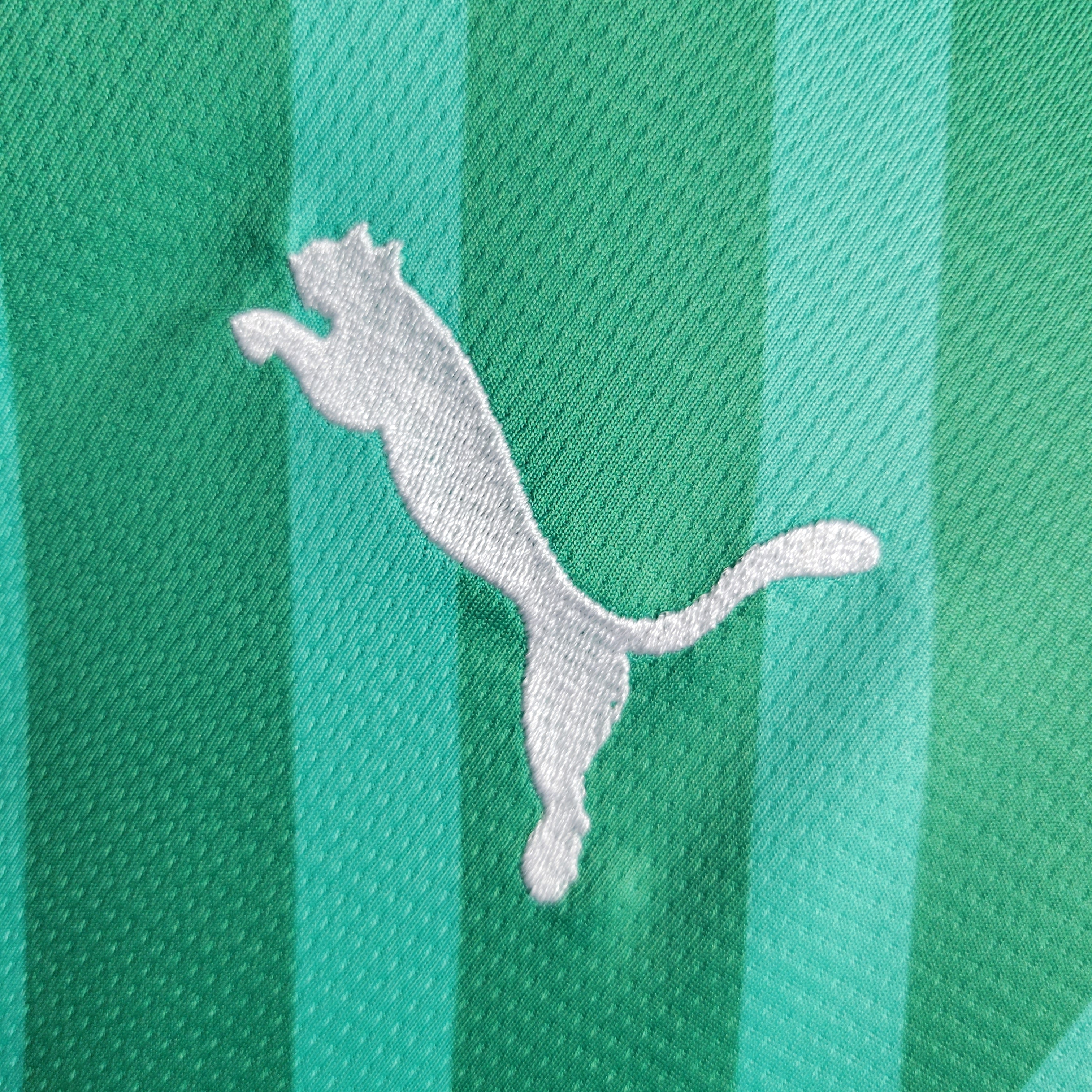 Camisa Milan Goleiro 23/24 Puma Hombre | Versión Aficionado - Lançamento