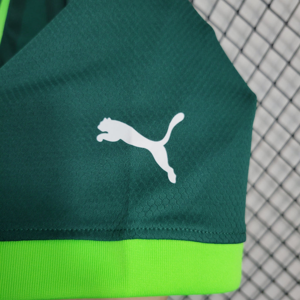 Camisa Palmeiras Home 23/24 - Puma Hombre | Versión Aficionado
