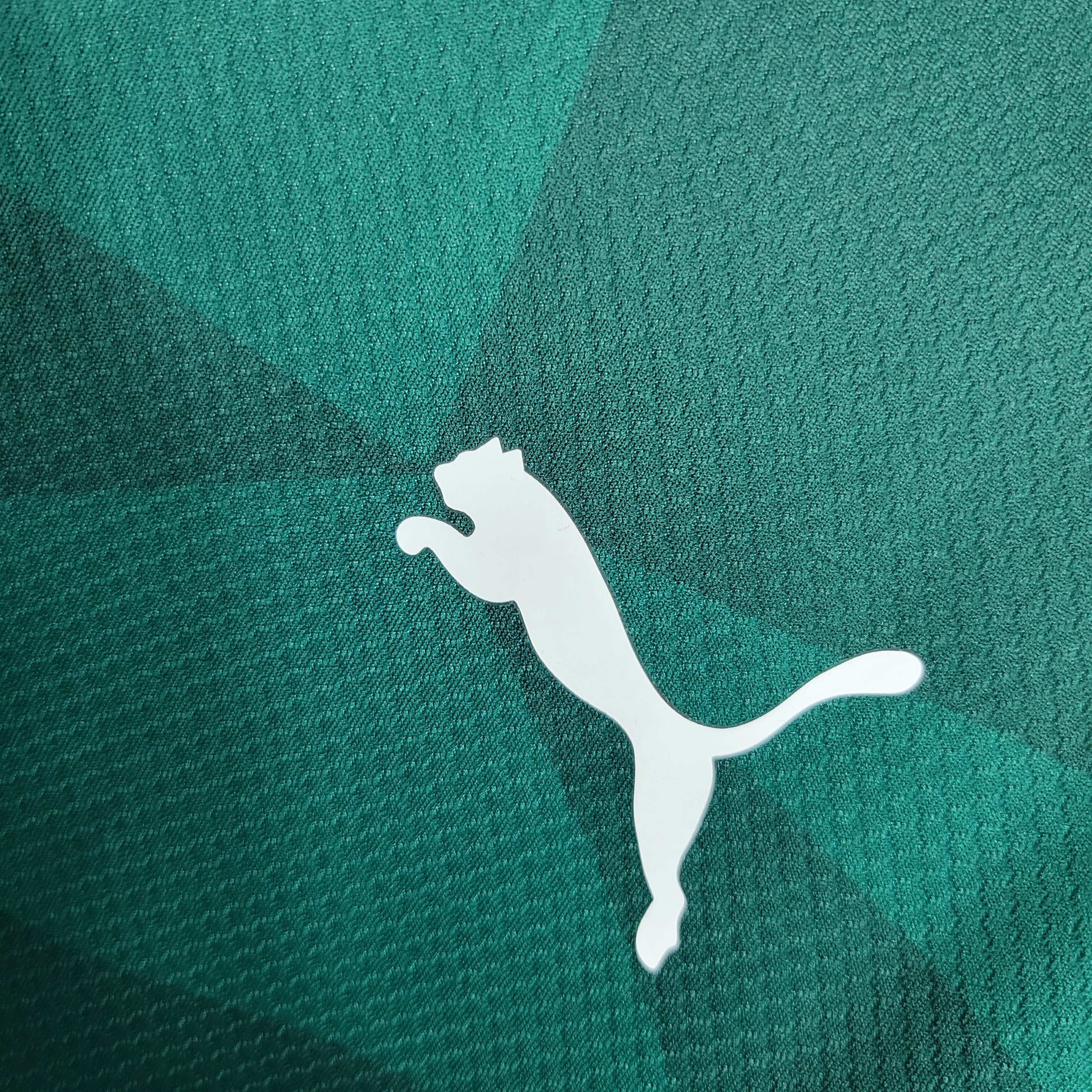 Camisa Palmeiras Home 23/24 - Puma Hombre | Versión Aficionado