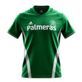 Camisa Palmeiras